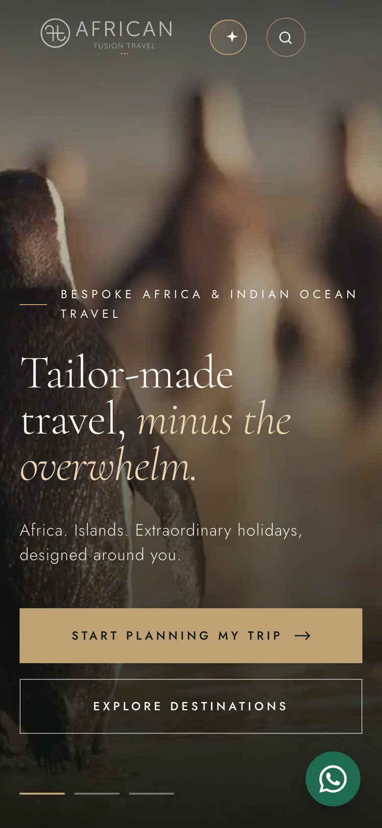 The new African Fusion Travel homepage on a phone